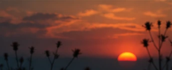 Lyrics Video 01